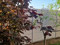 Photo from customer No. 20: Konkret Line fence (Google review)